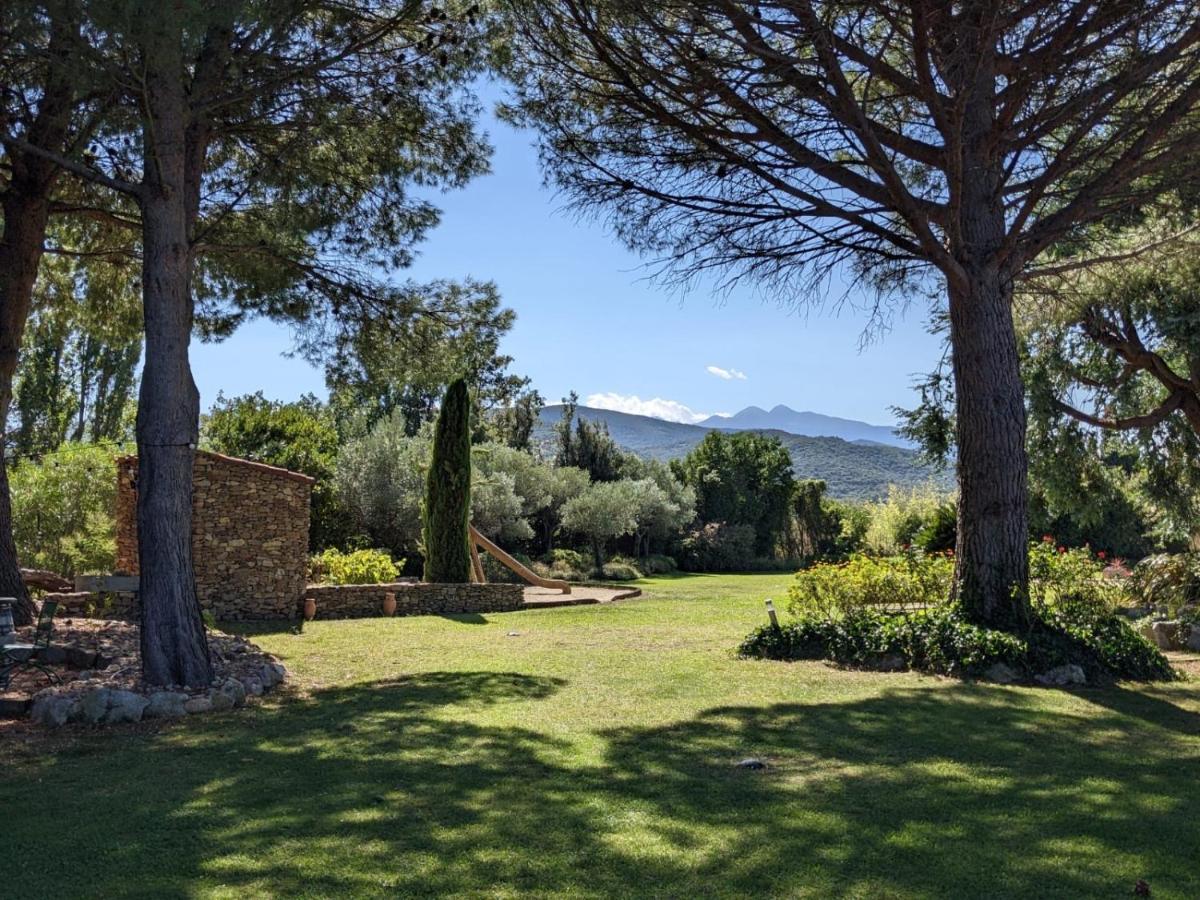 "Mas Tramontane "Chambres D'Hotes Et Studio Avec Piscine Dans Parc Arbore Ille-sur-Têt Εξωτερικό φωτογραφία