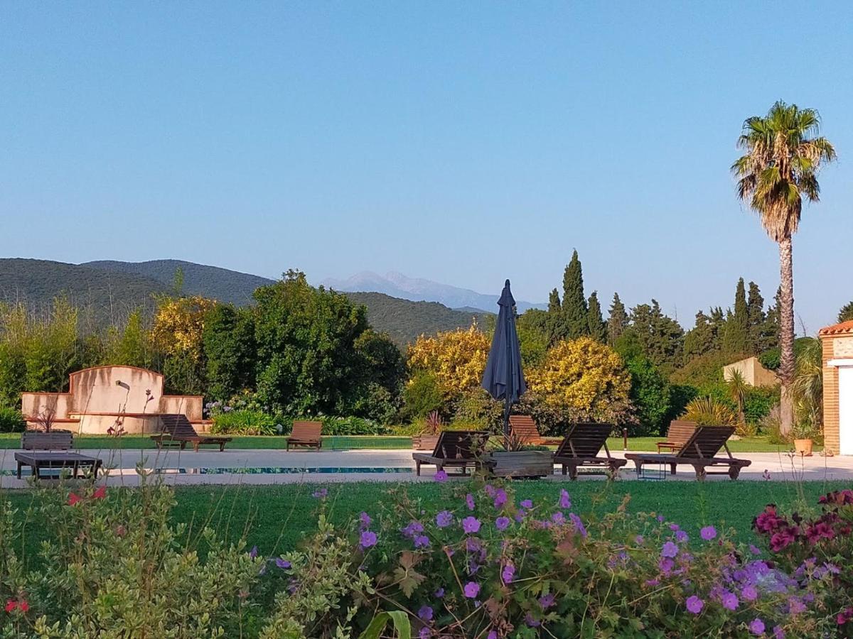 "Mas Tramontane "Chambres D'Hotes Et Studio Avec Piscine Dans Parc Arbore Ille-sur-Têt Εξωτερικό φωτογραφία